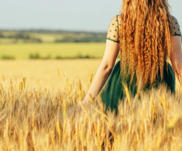 Soin du vivant Plante ton décor